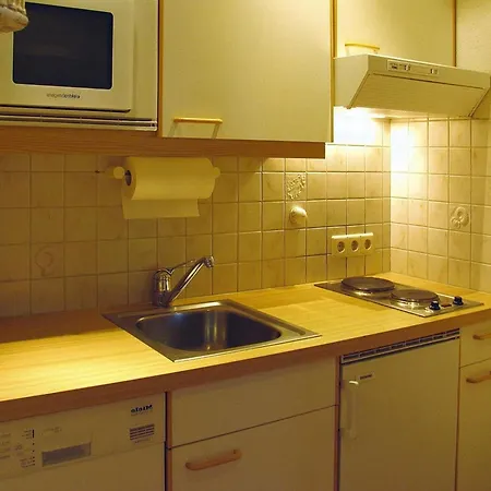 In Dienten By Slopes & Wellness Apartment