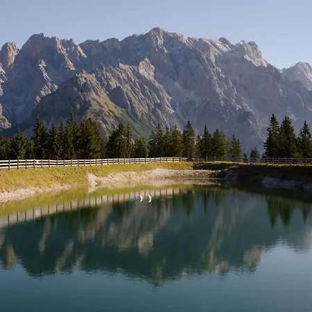 In Dienten By Slopes & Wellness * ديتن ام هوكونغ